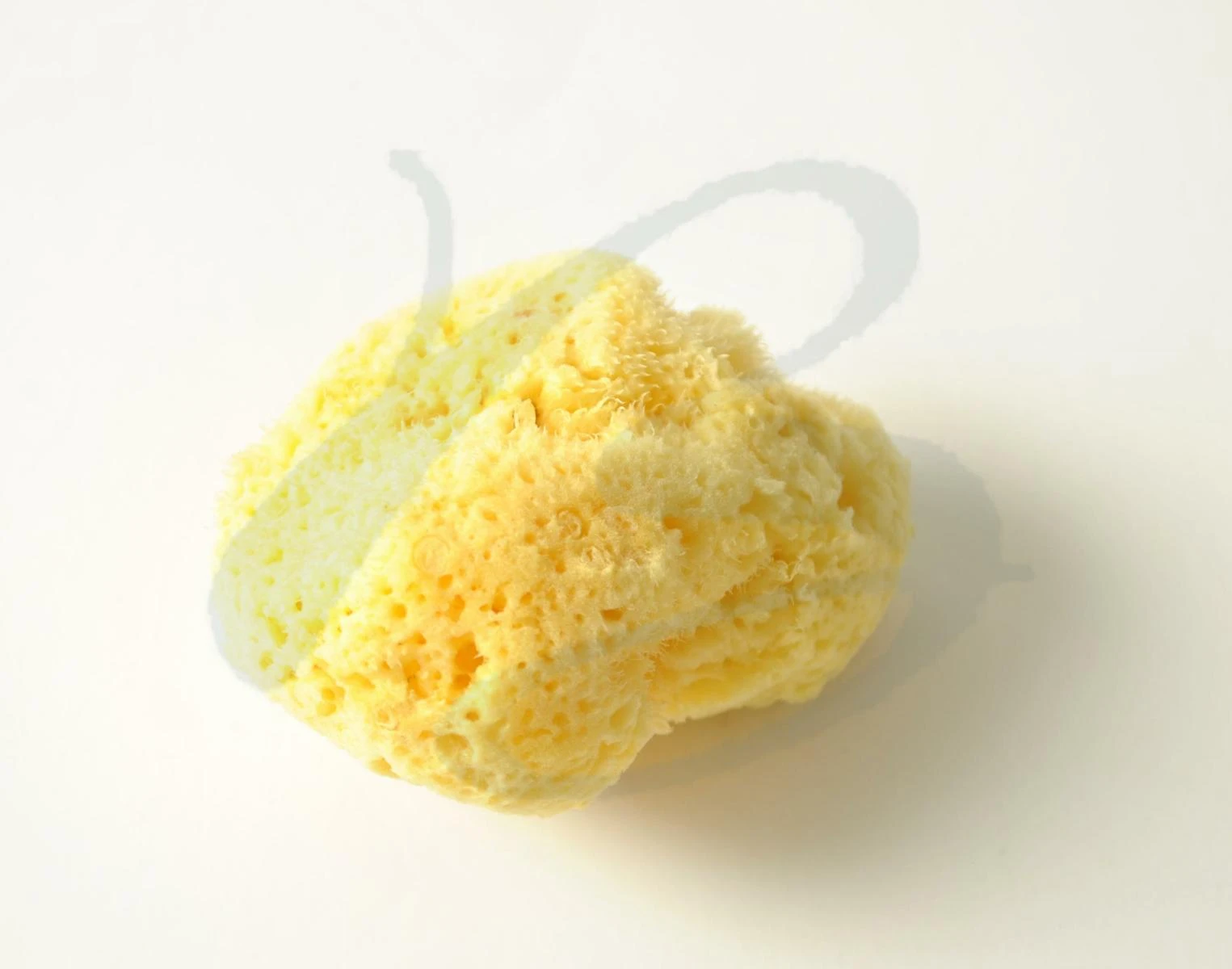 NATURAL SPONGE 