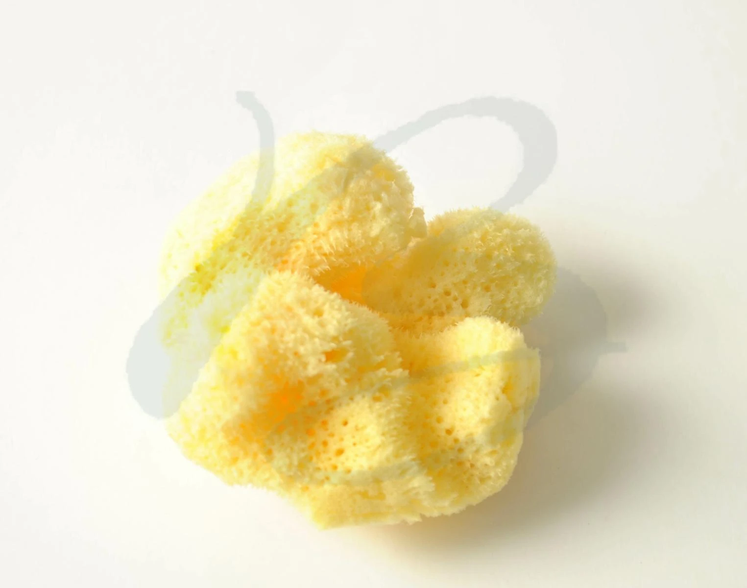 NATURAL SPONGE 