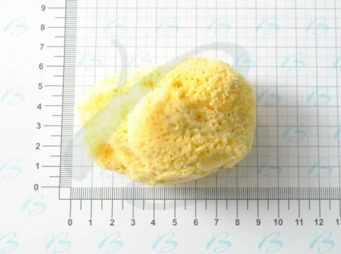 NATURAL SPONGE 